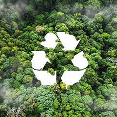 Nachnutzung: Recycling-Symbol über grünem Wald. Nachhaltigkeit und Umweltschutz.